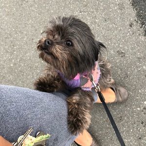 Meet your Posher, Nancy